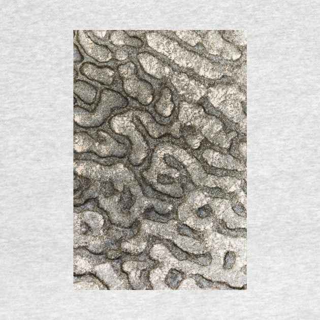 Volcanic Rock Pattern - Alternative by textural